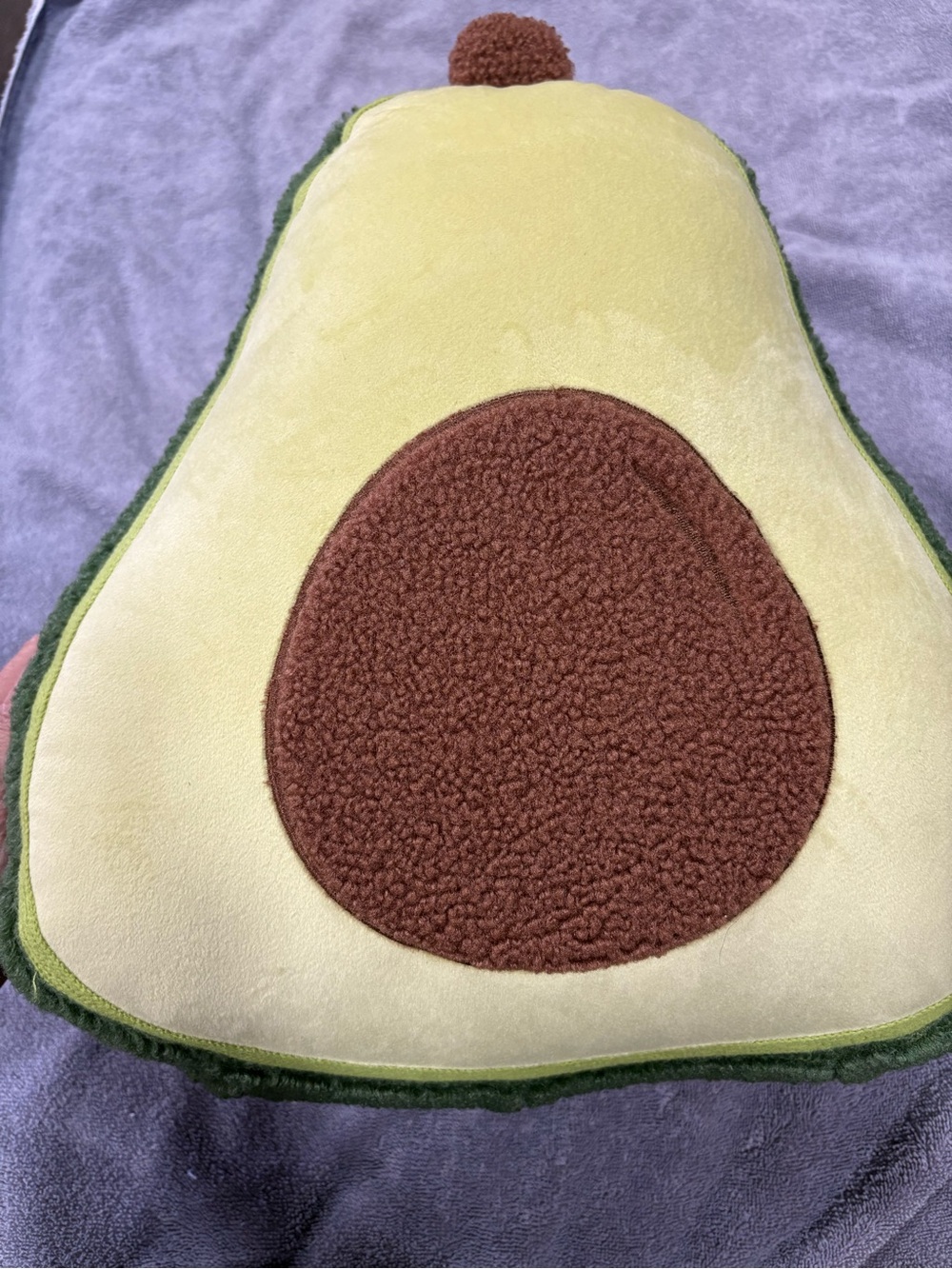 Avacado decorative pillow